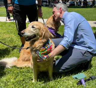 Illustration de l'article : 8 chiens de réconfort ont été dépêchés sur les lieux de la fusillade d’Uvalde au Texas pour soutenir les personnes touchées par le drame
