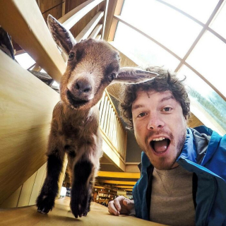 Illustration de l'article : 20 selfies d'un homme capable de nouer une amitié avec n'importe quel animal