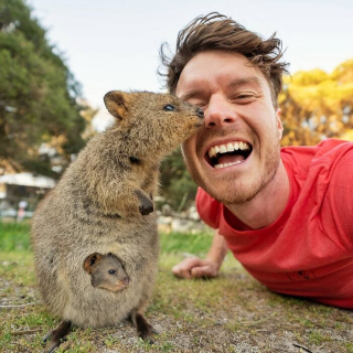 Illustration de l'article : 20 selfies d'un homme capable de nouer une amitié avec n'importe quel animal