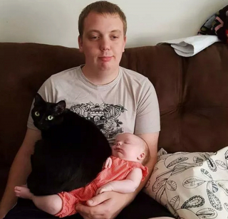 Illustration de l'article : 12 chiens et chats hilarants qui n'ont pas compris ce qu'on leur demandait