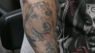 Illustration de l'article : Grièvement blessée par une voiture et abandonnée par ses maîtres, cette chienne a été sauvée 2 fois par le même homme