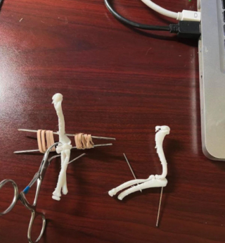 Illustration de l'article : Un chiot naît avec les pattes à l’envers : l’opération qui pourrait changer sa vie !