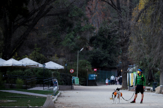 Illustration de l'article : Sam, un chien écolo qui ramasse les déchets d’un parc !