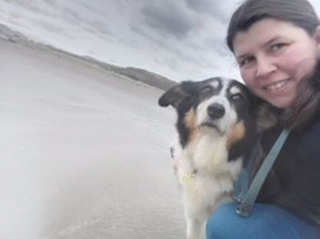 Illustration de l'article : Un Border Collie continue à prendre soin de chatons orphelins malgré le cancer dont il est atteint