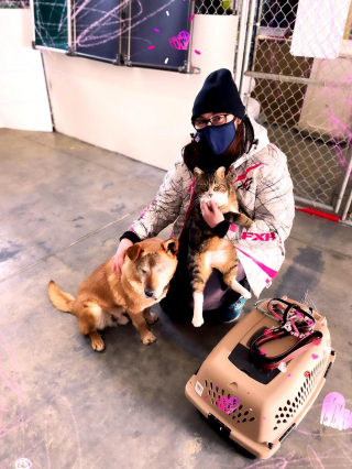 Illustration de l'article : Un chien aveugle et son meilleur ami félin ont été adoptés dans la même famille !