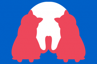 Illustration de l'article : Cette illusion d’optique révèle si vous préférez les chiens ou les chats !