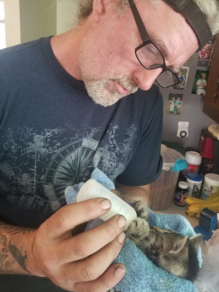 Illustration de l'article : Un chaton paralysé et sur le point de perdre la vie fait une rencontre qui a changé son destin (vidéo)