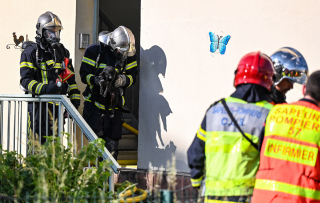 Illustration de l'article : En Lorraine, 3 chats ont été sauvés des flammes d’un appartement en feu par les pompiers 