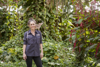 Illustration de l'article : Les rats, nouveaux héros des équipes de secours localisant les victimes des tremblements de terre (vidéo)