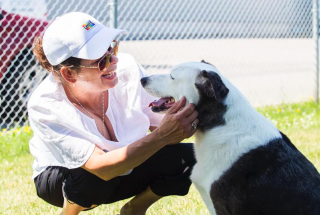 Illustration de l'article : Après des années de loyaux services, un groupe de sauvetage de chiens de Louisiane fait sa dernière intervention