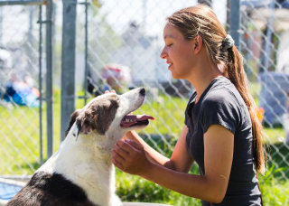 Illustration de l'article : Après des années de loyaux services, un groupe de sauvetage de chiens de Louisiane fait sa dernière intervention