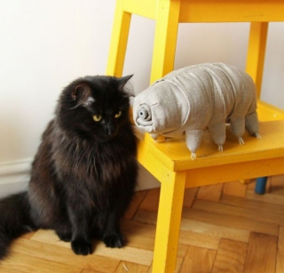 Illustration de l'article : 20 chats grognons avec lesquels nous vous déconseillons de tenter une approche