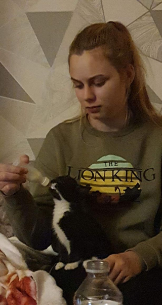 Illustration de l'article : Une famille lance une cagnotte pour venir en aide à son chat ayant des grosseurs dans la bouche