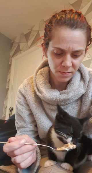 Illustration de l'article : Une famille lance une cagnotte pour venir en aide à son chat ayant des grosseurs dans la bouche