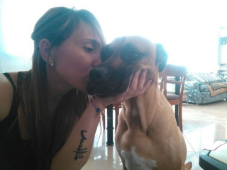 Illustration de l'article : 16 photos de chiens et de chats qui ne manquent pas d'atouts charme et qui le savent pertinemment