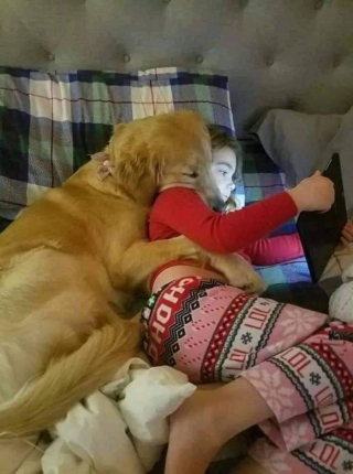 Illustration de l'article : 16 photos de chiens et de chats qui ne manquent pas d'atouts charme et qui le savent pertinemment