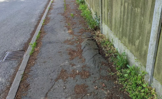 Illustration de l'article : Impuissante, une femme aveugle n’est pas autorisée à détenir un chien-guide, pour une raison qui ne lui appartient pas