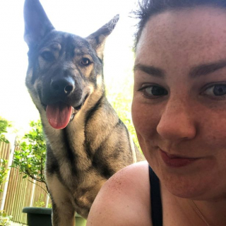 Illustration de l'article : 8 chiens symbolisant à merveille l'héroïsme dont ces créatures peuvent faire preuve au quotidien