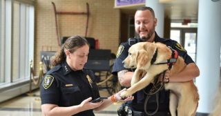Illustration de l'article : 8 chiens symbolisant à merveille l'héroïsme dont ces créatures peuvent faire preuve au quotidien