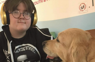 Illustration de l'article : 8 chiens symbolisant à merveille l'héroïsme dont ces créatures peuvent faire preuve au quotidien