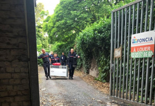 Illustration de l'article : Un félin rôde et inquiète les habitants de Tourcoing : la propriétaire de l’animal a été identifiée