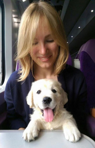 Illustration de l'article : 16 photos d'animaux qui rendent bien plus agréables les trajets dans les transports en commun