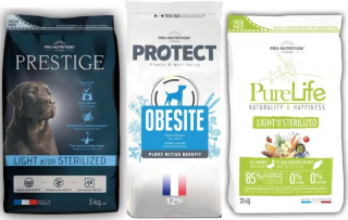 Illustration de l'article : Comment nourrir son chien et le protéger des risques du surpoids ?