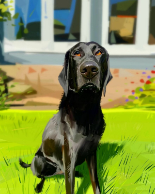Illustration de l'article : 20 portraits atypiques de chiens soulignant leurs principales expressions