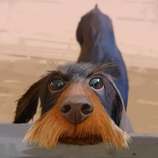 Illustration de l'article : 20 portraits atypiques de chiens soulignant leurs principales expressions