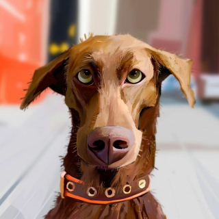 Illustration de l'article : 20 portraits atypiques de chiens soulignant leurs principales expressions