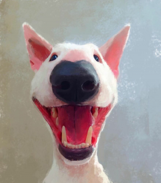 Illustration de l'article : 20 portraits atypiques de chiens soulignant leurs principales expressions