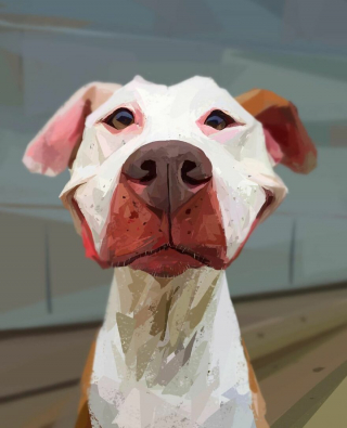Illustration de l'article : 20 portraits atypiques de chiens soulignant leurs principales expressions