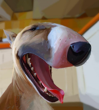 Illustration de l'article : 20 portraits atypiques de chiens soulignant leurs principales expressions