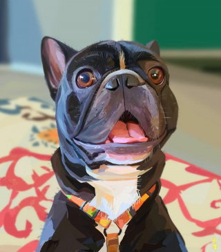 Illustration de l'article : 20 portraits atypiques de chiens soulignant leurs principales expressions