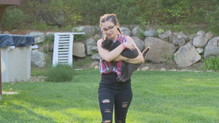 Illustration de l'article : Personne ne semble pouvoir venir en aide à un chat coincé dans un arbre. Mais 2 jeunes garçons refusent de lâcher l’affaire