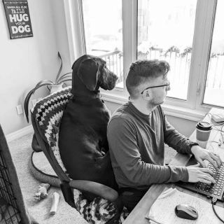 Illustration de l'article : 20 photos de chiens et de chats pour lesquels la notion d'intimité n'a aucun sens