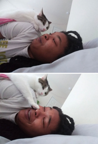 Illustration de l'article : 20 photos de chiens et de chats pour lesquels la notion d'intimité n'a aucun sens