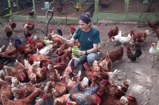 Illustration de l'article : Une association de sauvetage d’animaux lance une bouteille à la mer pour continuer de faire vivre son refuge