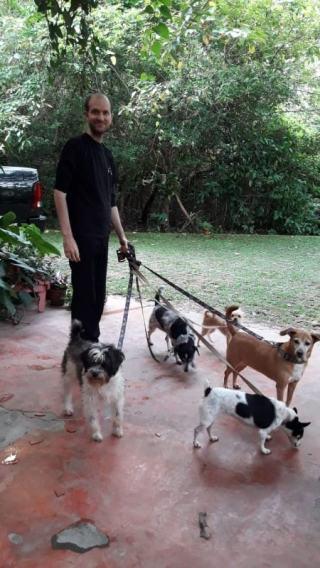 Illustration de l'article : Une association de sauvetage d’animaux lance une bouteille à la mer pour continuer de faire vivre son refuge