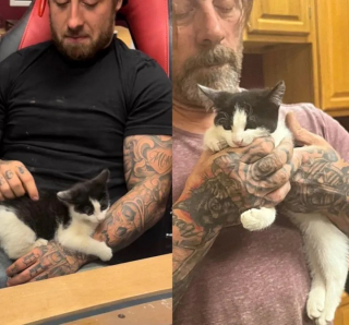 Illustration de l'article : 2 frères font la rencontre d’une boule de poils lors d’une session de jogging