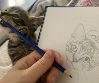 Illustration de l'article : 8 photos d'animaux qui débordent d'affection et apporteront de la gaieté à votre journée