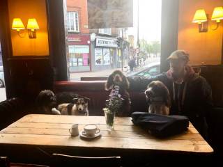 Illustration de l'article : 19 photos de rencontres fortuites entre une personne et un chien faisant ressentir la beauté du moment