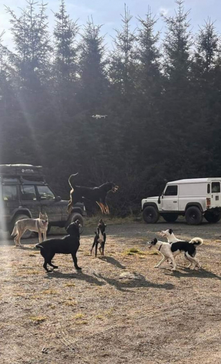 Illustration de l'article : 19 photos de rencontres fortuites entre une personne et un chien faisant ressentir la beauté du moment