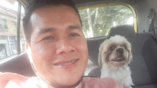 Illustration de l'article : Ce chien âgé s'est fait abandonner dans un taxi par son maître, parti sans se retourner (vidéo)