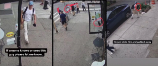 Illustration de l'article : Un chat volé devant la boutique de son propriétaire a été restitué sous la pression médiatique