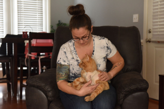 Illustration de l'article : Percuté par une voiture et laissé pour mort, un chat trouve la force de ramper jusqu’à une maison pour y chercher de l’aide