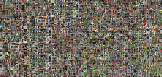 Illustration de l'article : Depuis la création de leur refuge, une mère et sa fille ont déjà sauvé 1700 chiens !