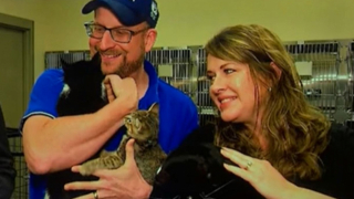 Illustration de l'article : Un couple adopte 3 chats, dont l’un est atteint du même handicap que leur enfant