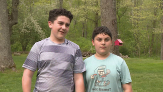 Illustration de l'article : 2 jeunes frères se battent pour mettre fin au calvaire d’un chat, coincé en haut d’un arbre depuis 5 jours