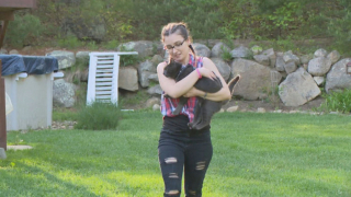 Illustration de l'article : 2 jeunes frères se battent pour mettre fin au calvaire d’un chat, coincé en haut d’un arbre depuis 5 jours